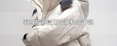 ​羽绒服可以用吹风机吹干吗