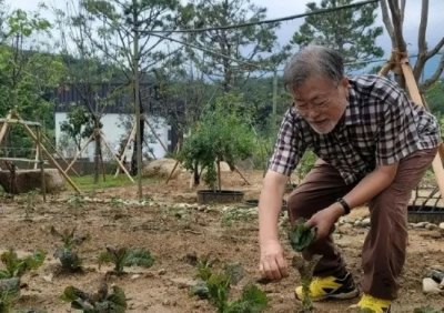 ​文在寅家门口有人打架，要当心啊