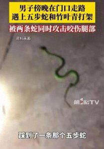 ​安徽一名男子倒霉透顶，家门口竟上演了一场蛇蛇大战，