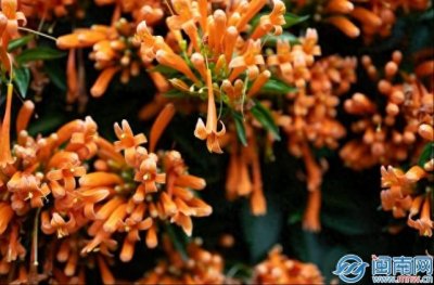 ​三八妇女节走心高级文案 妇女节暧心祝福语说说句子