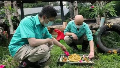 ​大熊猫丫丫：24岁本命年的温馨庆典