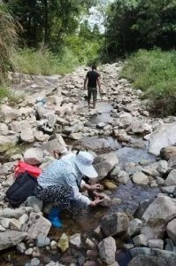​温州一种黑石头成了“网红”，不少人带着磁铁“挖宝”！