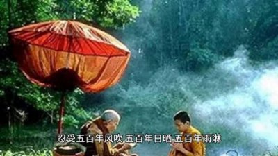 ​《石桥禅》：我愿化成一座石桥，只求她从桥上走过