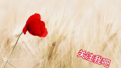 ​当心力憔瘁时，我会读萧伯纳的这10句名言，他总让我勇敢...