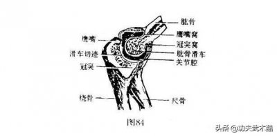 ​卸骨术：挑肘、剪肘、扛肘、别肘、砸肘、磕肘等肘关节卸脱法