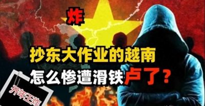 ​越南经济崩盘：从 “世界工厂” 到金融危机的深层原因