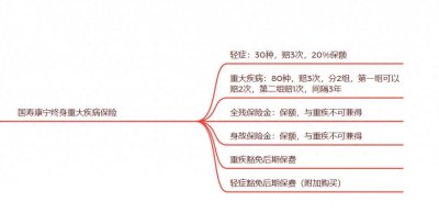 ​中国人寿康宁终身重大疾病保险——何去何从？