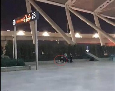 ​男子在广州南站强行按倒击打女子，路人大声呵斥，警方已介入调查