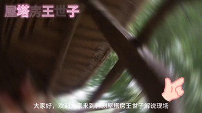 ​韩剧—屋塔房王世子解说20大结局#屋塔房王世子