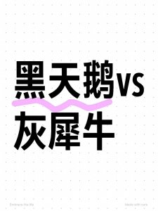 ​什么是黑天鹅事件？灰犀牛事件？