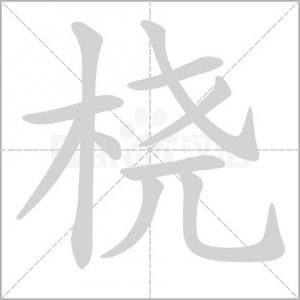 ​“桡”怎么读?什么意思?桡骨读ráo还是náo？