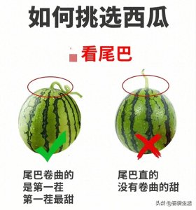 ​西瓜甜度怎么辨？看这三处，一挑一个甜西瓜