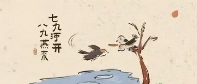 ​传统节气丨冬八九 “寒冬将尽，八九雁归”