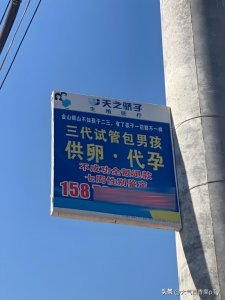 ​代孕黑市：百万卵子交易的背后故事