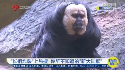 ​鍥犻暱鐩糕€滅偢瑁傗€濈伀涓婄儹鎼滐紒缃戝弸锛氬畠鍦ㄥ北娴风粡绗嚑椤碉紵