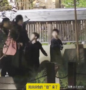 ​刘诗诗被6岁儿子牵手跑险些摔倒 步步不回家撒泼打滚 妈妈硬拖上车