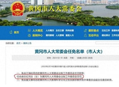 ​一问三不知的黄冈唐主任平级复出，程序合法但任命不一定合理