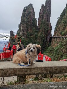 ​中国第一座不用爬的绝美高山-莽山实用攻略