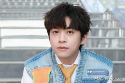 ​武艺2024年年终总结揭晓，综艺20档，单曲5首，活动25场，商务8个
