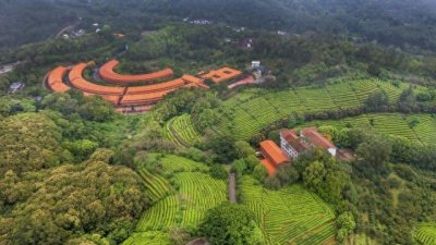 梅州一日游保姆级攻略：山水客都，慢享时光