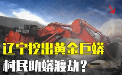 ​辽宁修路挖出17米黄金巨蟒，村民烧香助蟒渡劫，真可以蜕皮化龙？