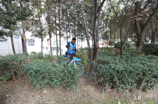 他被称共享单车锦衣卫,3年剪单车私锁3万把,最多1天45把