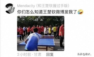 王楚钦 ：碰上高手了，高手在民间，公园大爷确实不好打！