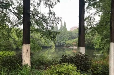 ​今早！合肥市区惊现一具浮尸！