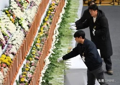 ​悲剧中的真相：韩国空难遗体与残骸的深度剖析