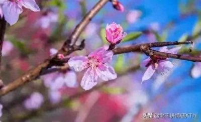 ​现在的女人都怎么了