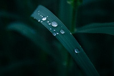 ​掌控景深三要素：光圈、距离、焦距的终极秘密