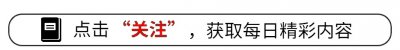 ​笑不活了！“亚当回国了” 冲上热搜，我却笑死在网友的评论区
