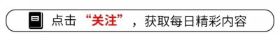 ​因姜萍走红的中科院博士刘奔回应：姜萍很有实力！