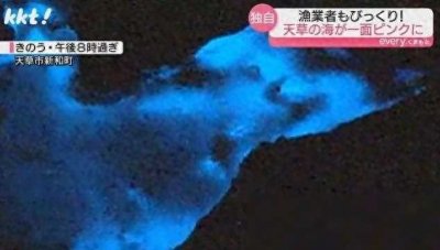 ​日本一处海域呈现神秘颜色：傍晚粉红色 夜间变荧光蓝