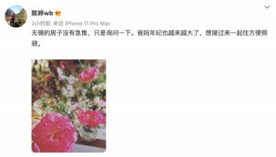 ​6100万成交？张艺谋无锡豪宅出售引关注，其妻回应称“没有急售”