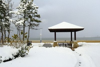 ​山东威海暴雪积雪厚度惊呆网友