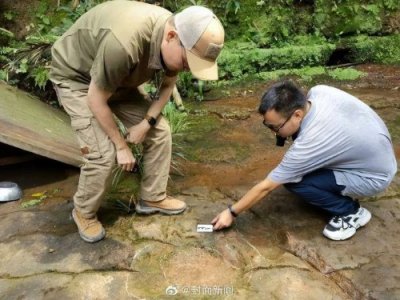 ​吃个饭竟然“偶遇”恐龙？四川乐山一餐厅发现恐龙足迹