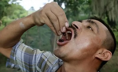 ​浙江“食蚁村”：村民每天吃掉百斤，蚂蚁却越吃越多，这是为何
