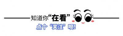 巴图：我不怨父亲英达，也不嫉妒弟弟英如镝，更没必要认祖归宗